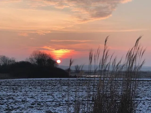 Ankerplatz Direkt Am Altmuehlsee Bei Juliane Und Klaus דירה